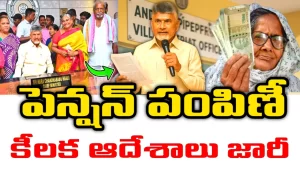 Pension Disbursement